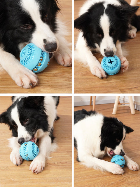 Durable Pet Molar Ball