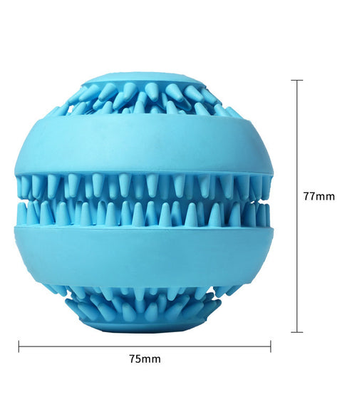 Durable Pet Molar Ball