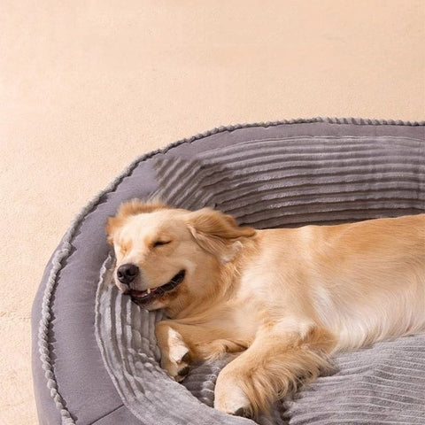 Teddy Thick Plush Pet Bed