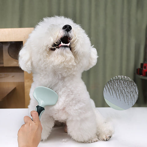 Professional Dog Clippers Kit